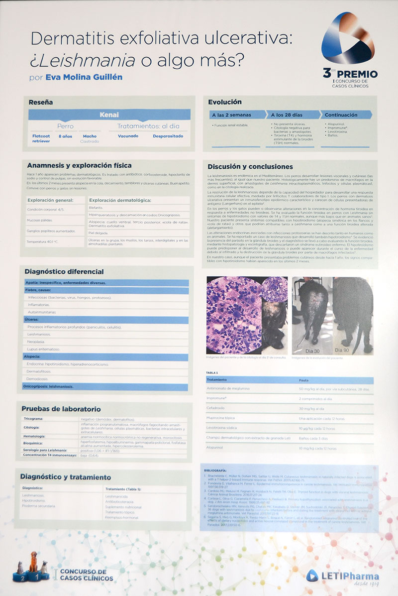 DERMATOLOGÍA