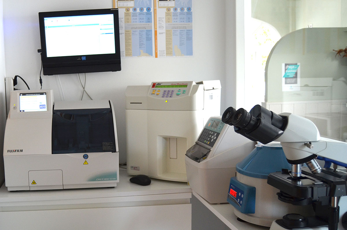 ANÁLISIS DE LABORATORIO
